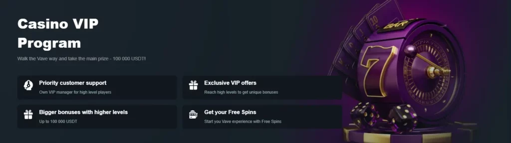 Vave Online Casino VIP Program